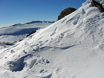 Plus de 2455m de fond d'�cran !